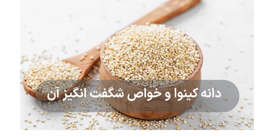 Tout sur les propriétés du quinoa, plus de 15 propriétés étonnantes