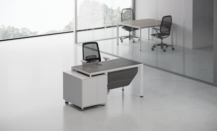 Office desk employee 229