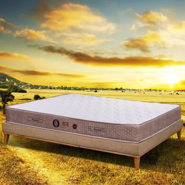 مرتبة شكيبا موديل طبي زنبركي ألفا