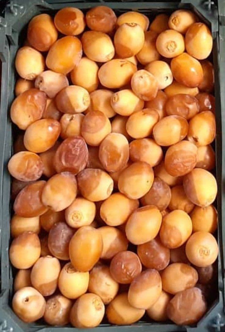 Barhi dates